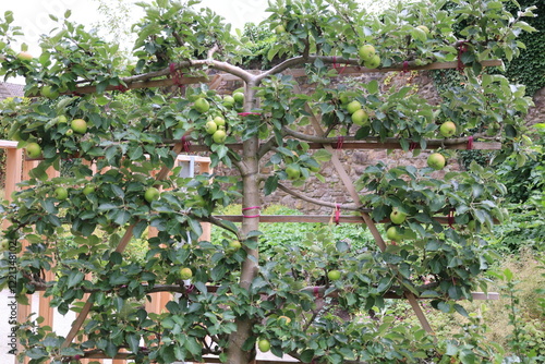 Impressionen aus einem schönen Park in Höxter photo