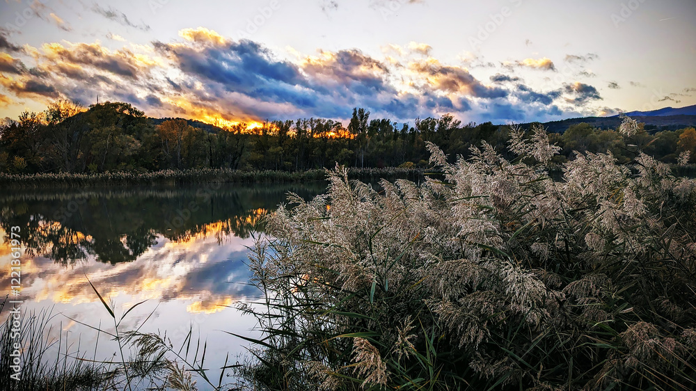 Fototapeta premium River bank with reeds and clouds at sunset.
