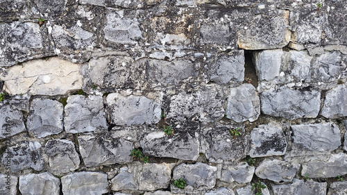 Texture of old natural stone wall with moss and plants.