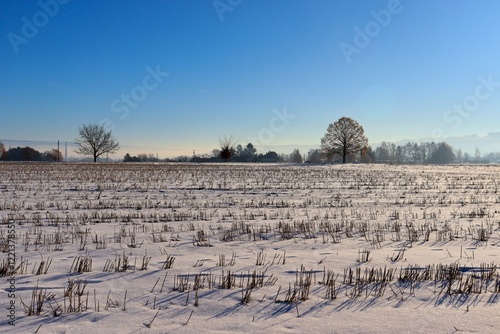 landscape with snow