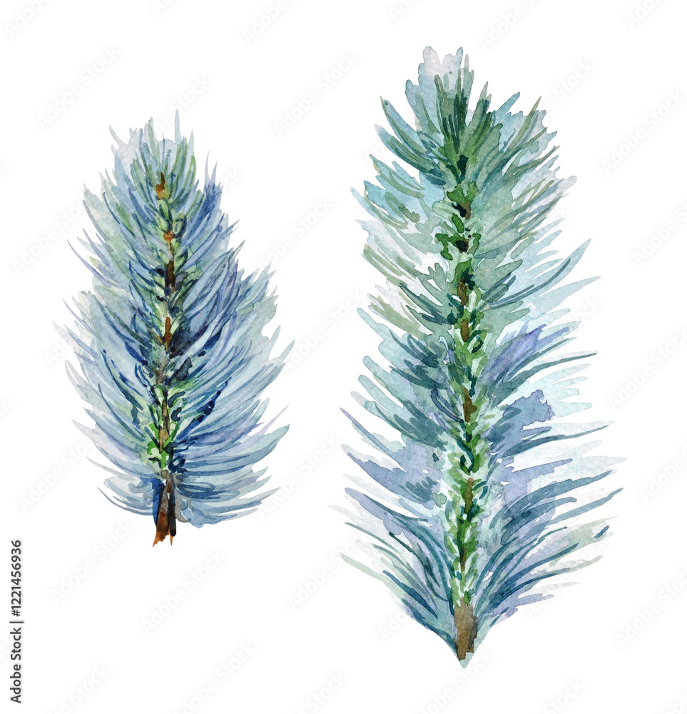 Naklejka premium Watercolor hand-painted illustrations of mint-colored fir tree branches on a transparent background. Winter illustrations.