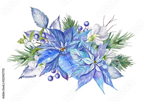 Watercolor winter bouquet with blue poinsettias, white matthiola flowers, blue berries, a snowberry, spruce branches, and blue leaves on a transparent background. Wedding composition.