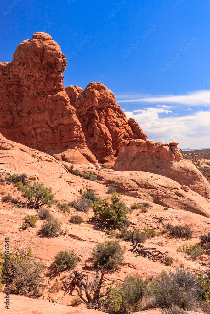 A rocky mountain with a few trees and a clear blue sky A rocky mountain with a few trees and a clear blue sky