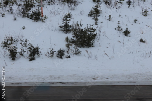 Wallpaper Mural Snow covered town of Rainey Lake on the Minnesota and Canadian border.  Torontodigital.ca