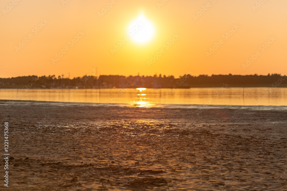 Beautiful sunset over calm waters at shoreline with distant trees reflecting golden hues Beautiful sunset over calm waters at shoreline with distant trees reflecting golden hues