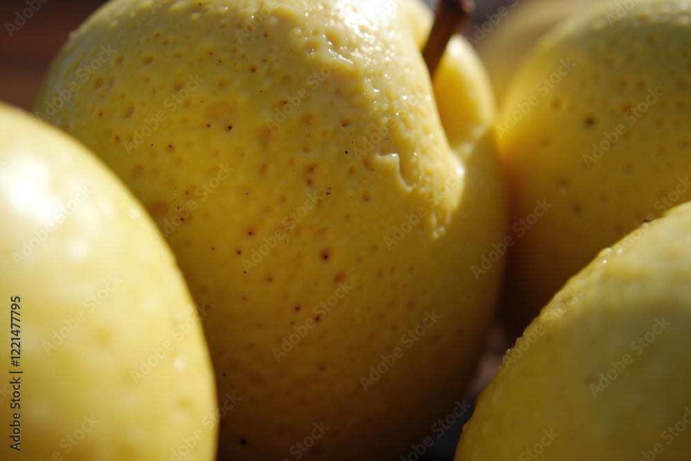 Ripe pear with water droplets in soft sunlight Ripe pear with water droplets in soft sunlight