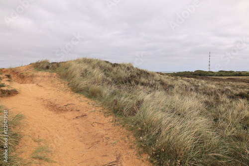 Blick auf das Morsumer Kliff auf der Nordseeinsel Sylt photo