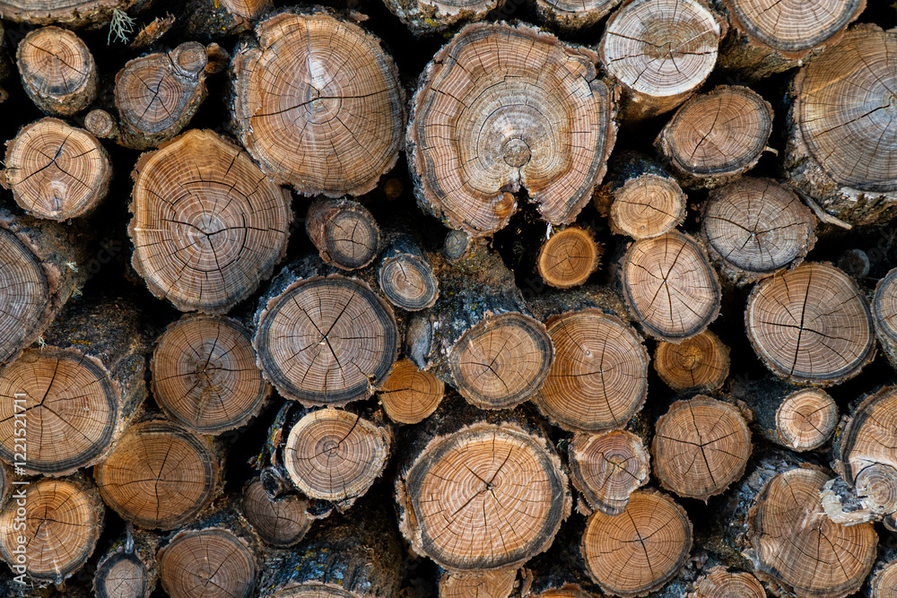 Woods stitched and cutted, small and big Woods stitched and cutted, small and big