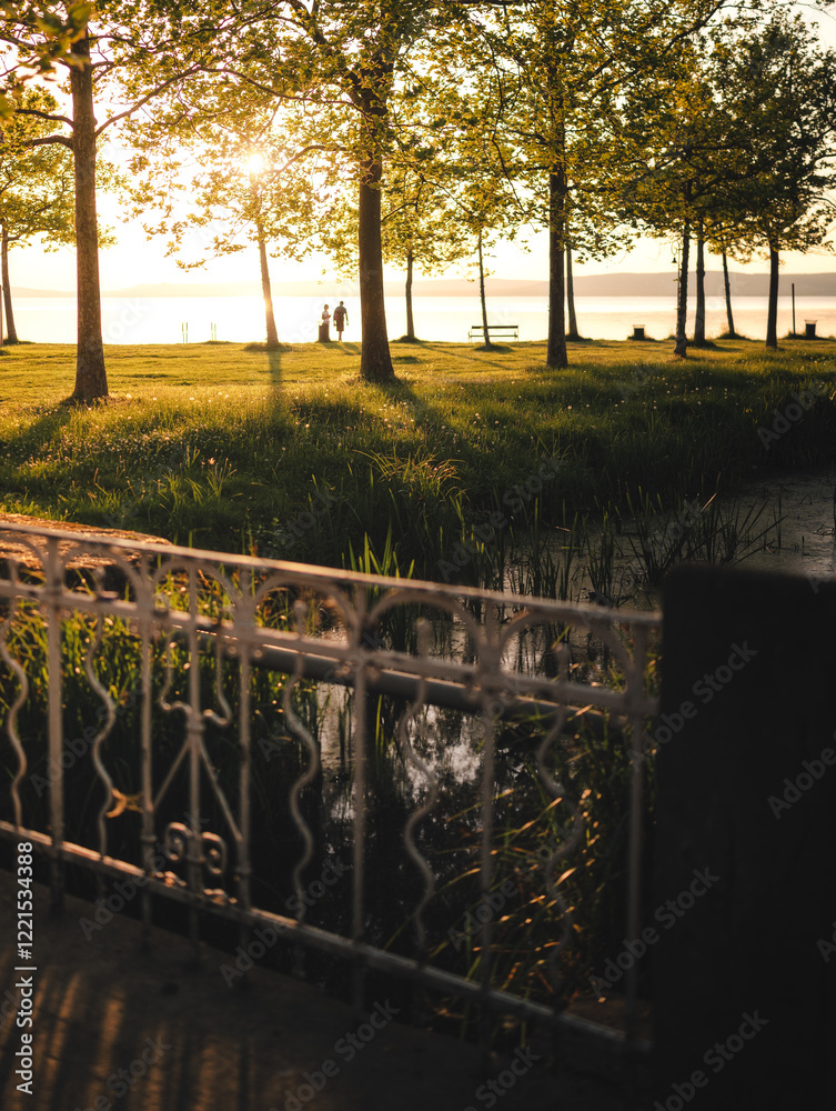 Morning photo of nice trees at lake Balaton