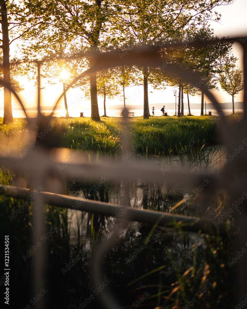 Morning photo of nice trees at lake Balaton