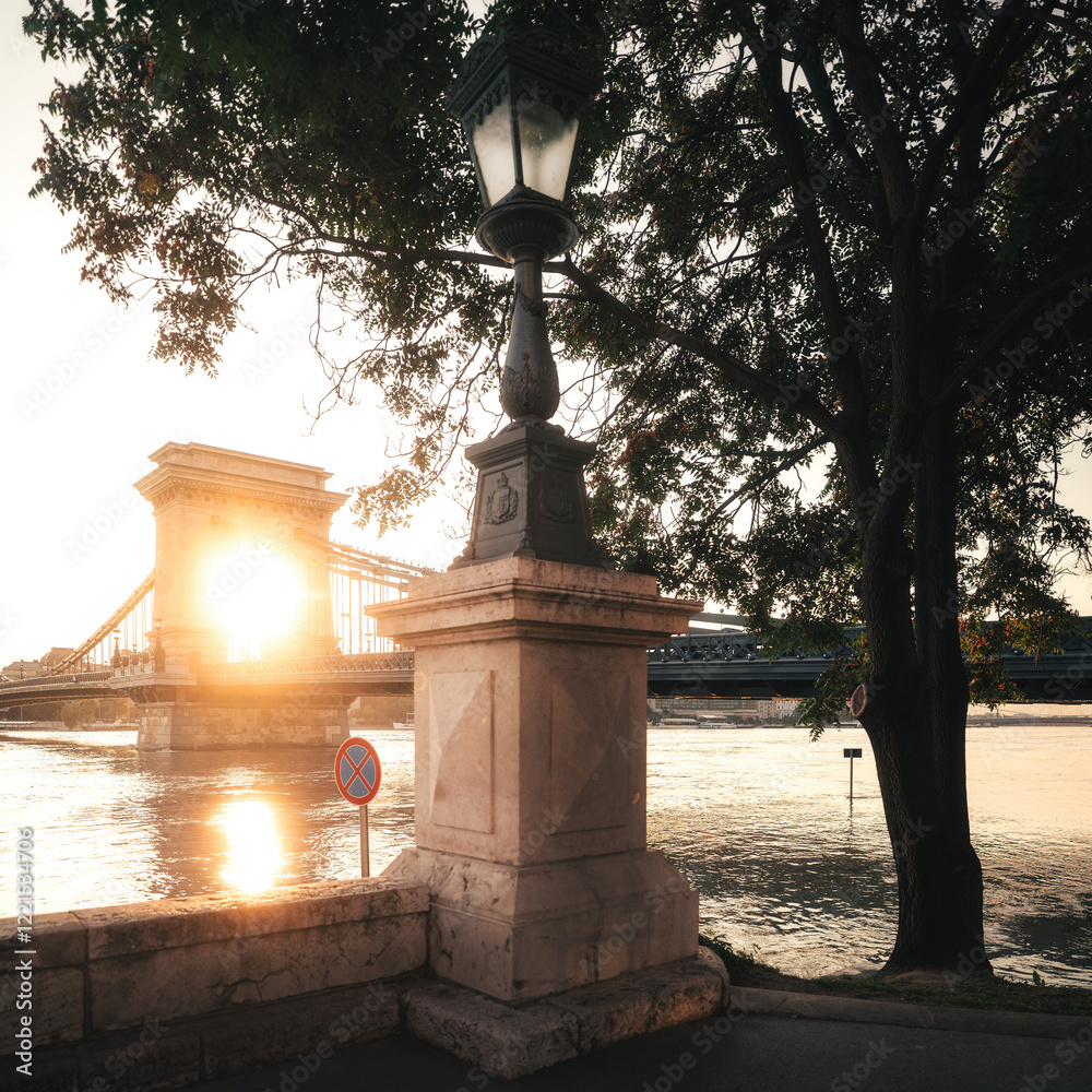 Flooded Chain Bridge in Budapest