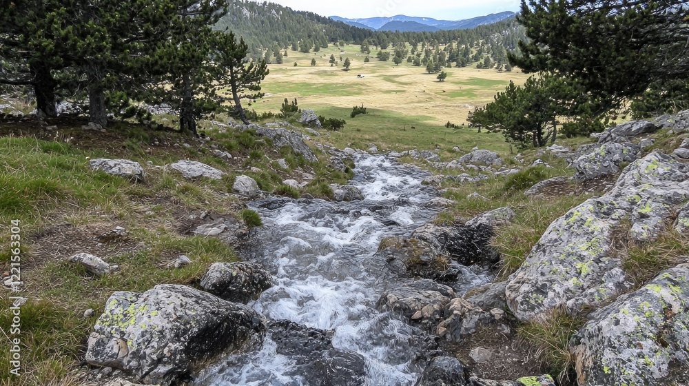 Mountain stream flows through rocks, valley vista Mountain stream flows through rocks, valley vista