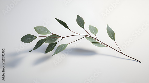 Single sprig of eucalyptus leaves on a white background. Simple, elegant, and serene.
