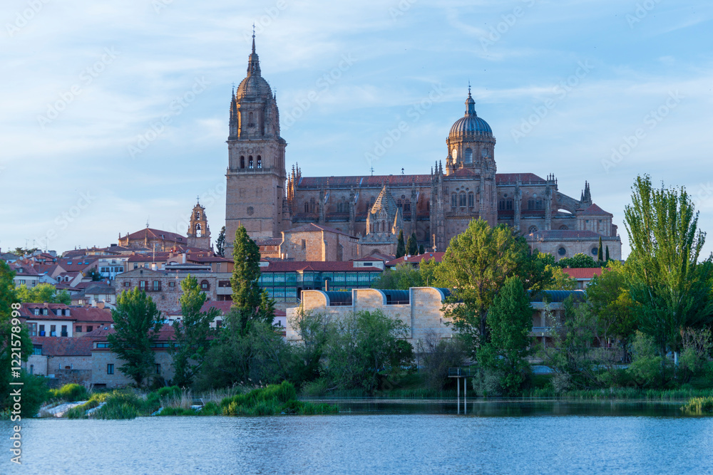 Obraz premium CATEDRAL DESDE EL RIO SALAMANCA DETALLES DE LA CIUDAD 2025 , SALAMANCA PHOTOS WITH DETAILS OF THE CITY SPAIN 