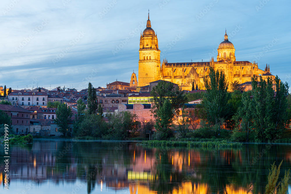 Obraz premium SALAMANCA DETALLES DE LA CIUDAD 2025 , SALAMANCA PHOTOS WITH DETAILS OF THE CITY SPAIN