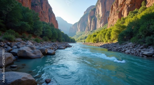 River running through a canyon with rocks and trees