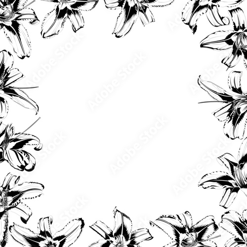 Square frame of black and white lilies on white background