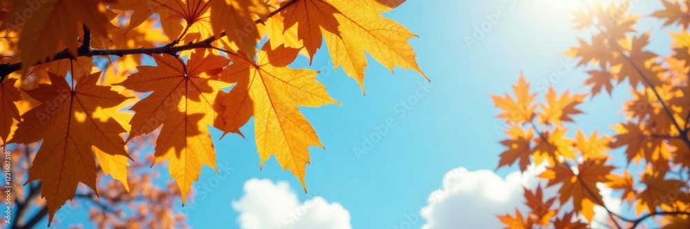 Golden hue of leaves against a blue sky, green, natural Golden hue of leaves against a blue sky, green, natural