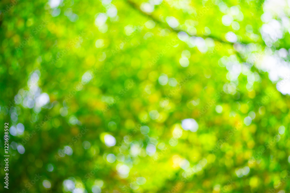 Abstract green nature background, selective focus. Green leaf background. Greenery backdrop. Forest background. Green nature background. Green leaf in forest. Leaves backdrop. Abstract green nature background, selective focus. Green leaf background. Greenery backdrop. Forest background. Green nature background. Green leaf in forest. Leaves backdrop.