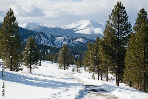 Wallpaper Mural Snow-covered landscape with pine trees and mountains under a cloudy sky in winter Torontodigital.ca