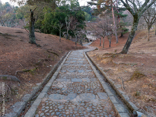 奈良公園鷺池の浮見堂へと続く石畳の階段 photo