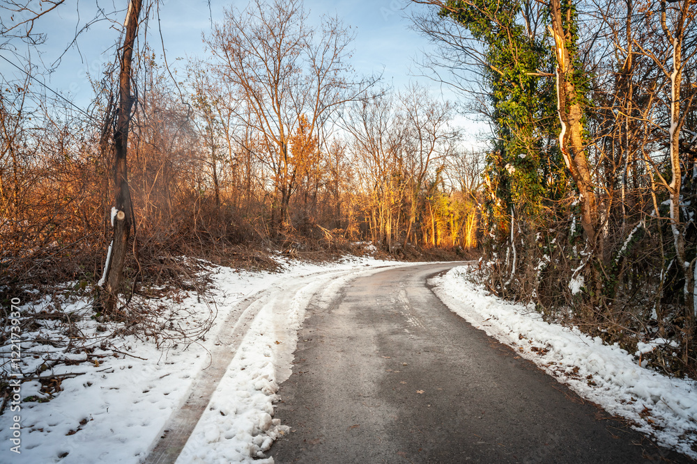 A snowy countryside road in Serbia during winter, framed by frosty trees and glowing sunlight, highlighting the beauty of rural landscapes. A snowy countryside road in Serbia during winter, framed by frosty trees and glowing sunlight, highlighting the beauty of rural landscapes.