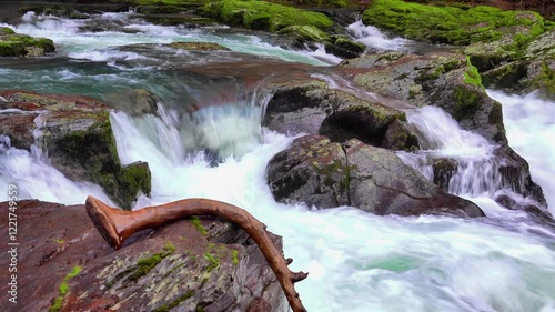Cascading winter stream, Steamboat Creek, a tributary of the North Umpqua River, Umpqua National forest, Oregon