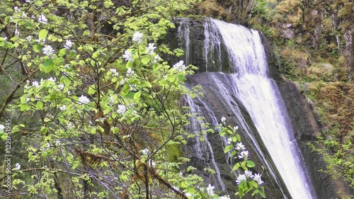 Wolf Creek Falls, Spring season, Umpqua National forest, Oregon