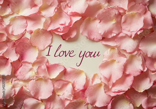 Pink rose petals create romantic backdrop with phrase I love you in center, evoking feelings of love and affection