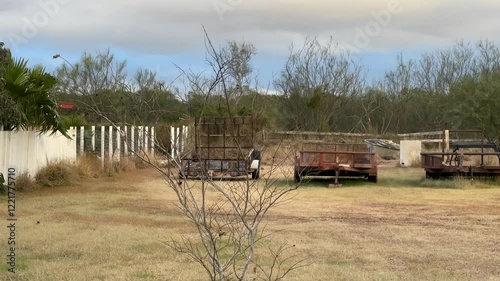 farm with some trees in the middle of a windy day in in the outskirts of the city