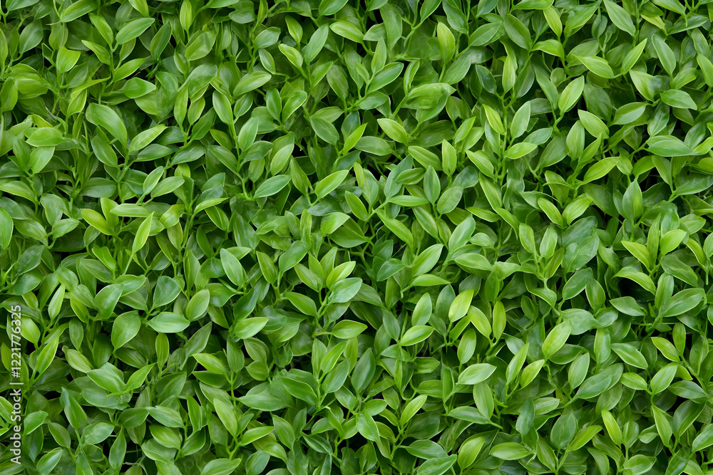 Lush green leaf wall background texture Lush green leaf wall background texture