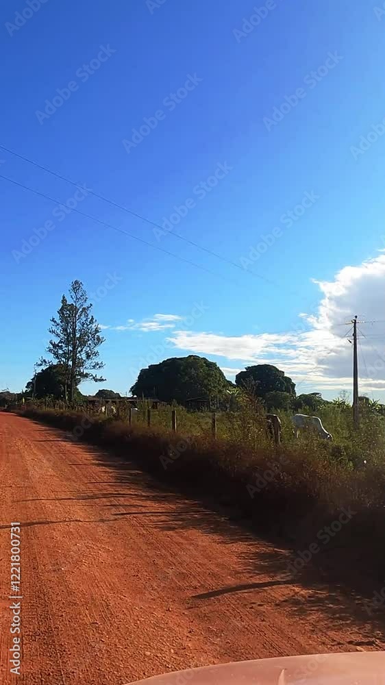 Dirigindo em estrada rural na cidade de São João D’Aliança, região da chapada dos Veadeiros, Estado de Goiás, Brasil