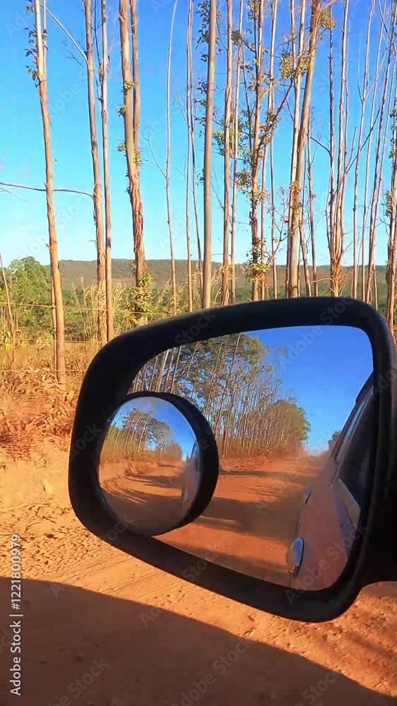 Dirigindo em estrada rural na cidade de São João D’Aliança, região da chapada dos Veadeiros, Estado de Goiás, Brasil