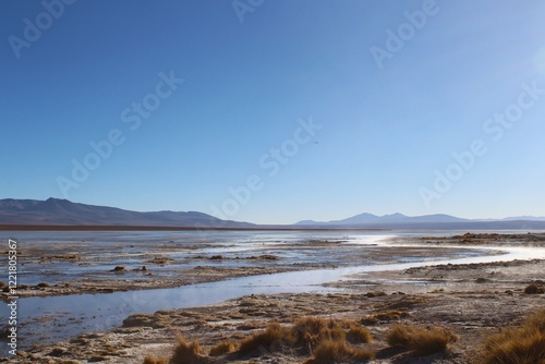 Wallpaper Mural Natural landscape of Bolivia, featuring altiplano lagoon, Andean mountains, and clear blue skies in a stunning arid environment Torontodigital.ca