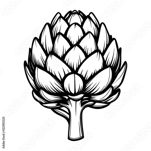 Simple half artichoke linear illustration vegetable design vector