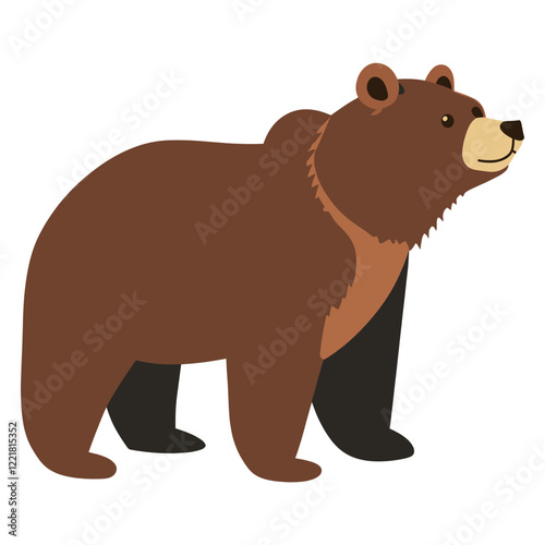 Bears illustration wildlife animal vector