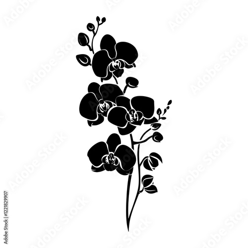 Orchid flower bouquet silhouette black illustration vector