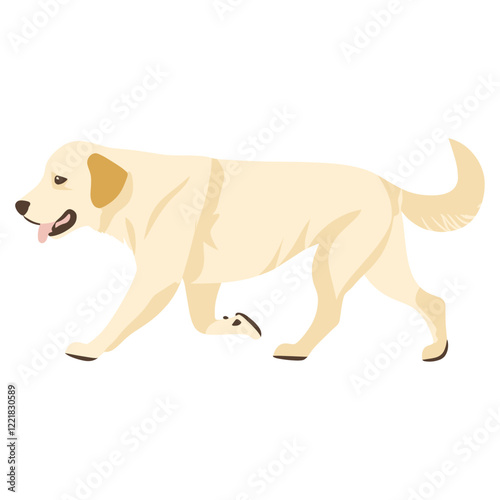 Golden Retriever dog illustration retriever cartoon vector