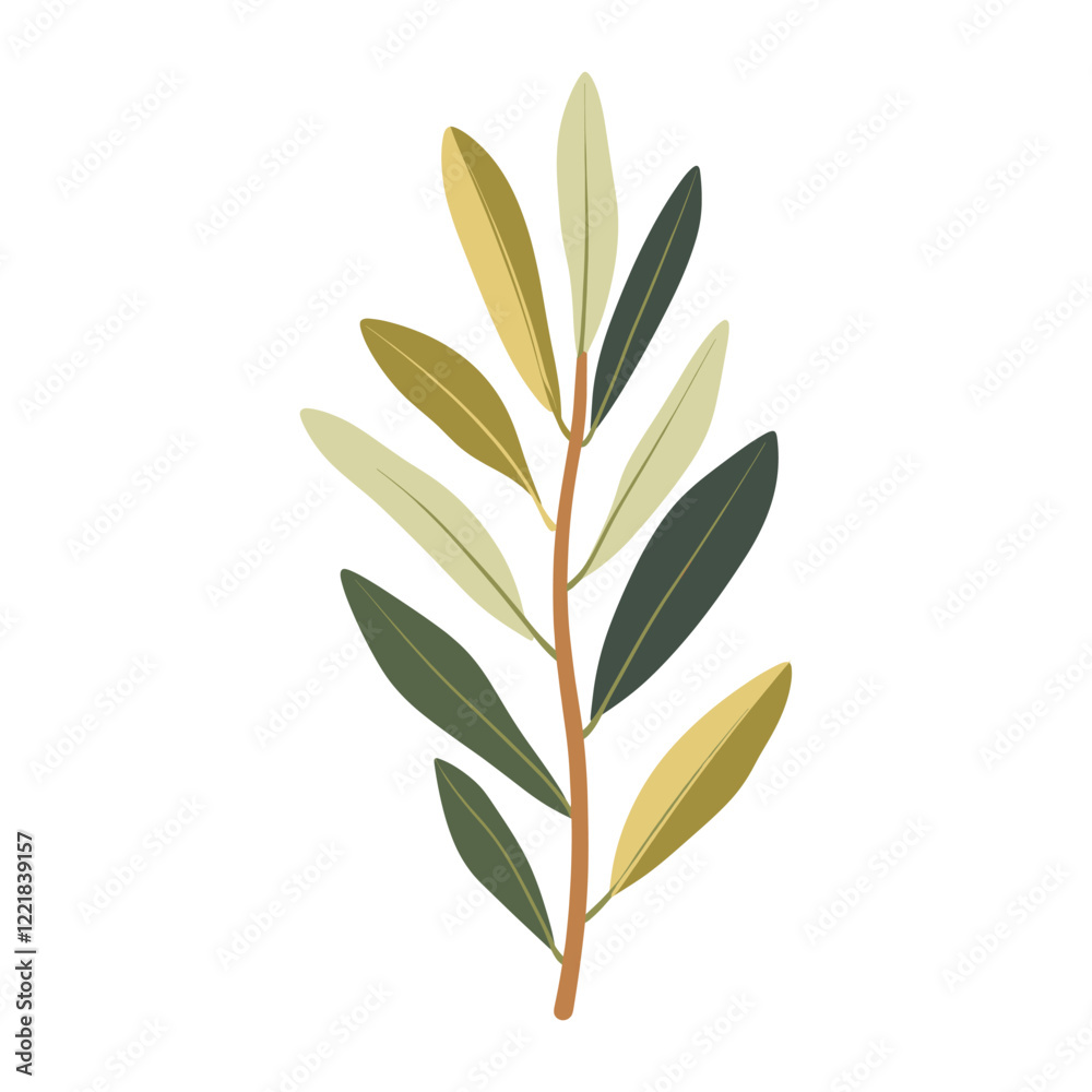 Olive leaf illustration simple plant vector Olive leaf illustration simple plant vector