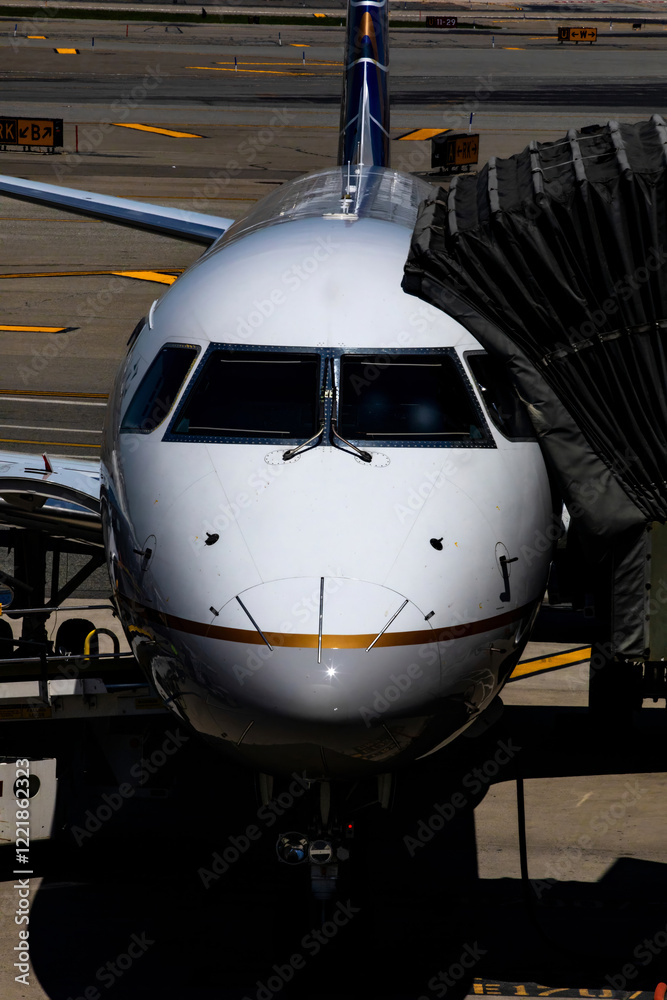 Fototapeta premium airplane in the airport