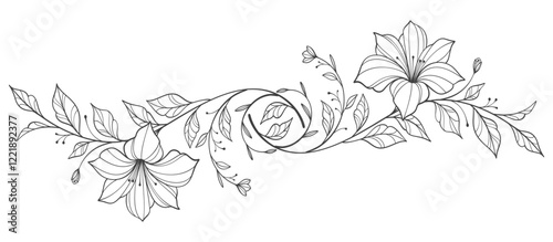 Sketch Floral Botany Collection. flower drawings. Black and white with line art on transparent backgrounds. Hand Drawn Botanical Illustrations.Vector.
