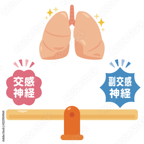 バランスの取れた自律神経と健康的な肺のイラスト