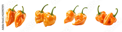 A collection of vibrant orange habanero peppers are shown against a black background, showcasing their glossy texture and bright color.