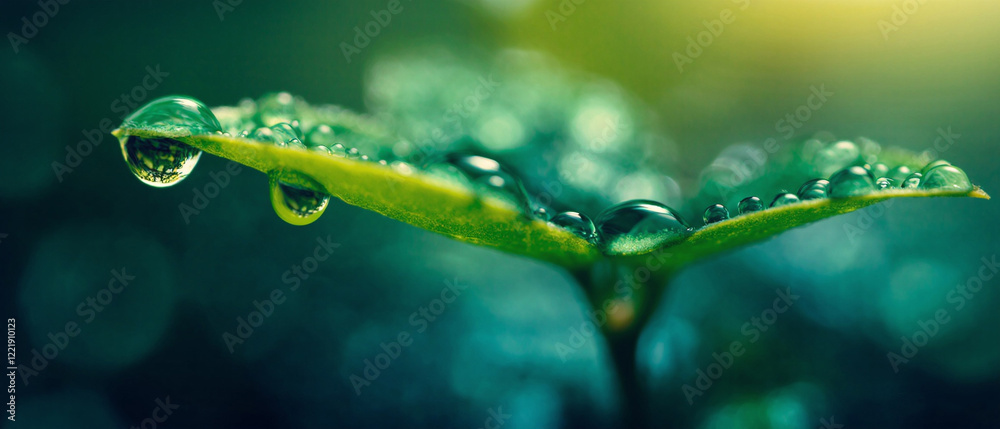 Macro shot of raindrop on plant leaf with reflected surroundings in turquoise and green tones, soft bokeh effect for a serene spring atmosphere. Made with generative AI Macro shot of raindrop on plant leaf with reflected surroundings in turquoise and green tones, soft bokeh effect for a serene spring atmosphere. Made with generative AI