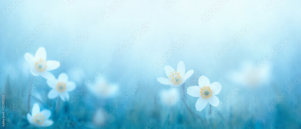 Spring forest with delicate white primrose flowers in bloom against a soft blurred sky-blue background. Romantic and gentle floral scene in nature. Made with generative AI Spring forest with delicate white primrose flowers in bloom against a soft blurred sky-blue background. Romantic and gentle floral scene in nature. Made with generative AI
