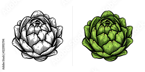 Hand drawn artichoke. Artichoke line art vector illustration