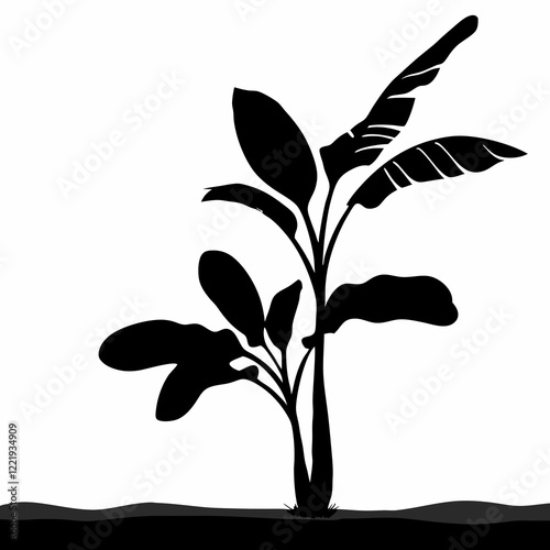 A tall palm tree with a tall pole in the middle. The pole is black and has a white base