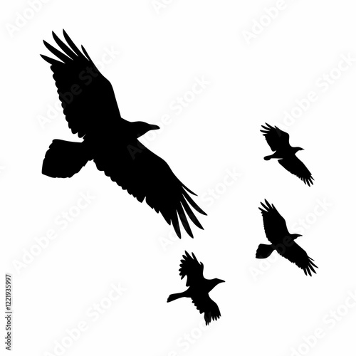 A black bird with a black head and a black body. It is sitting on a white background