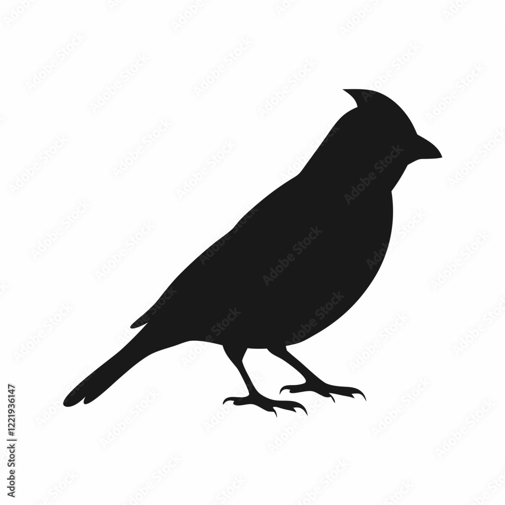 Obraz premium A black bird with a black head and a black body. It is sitting on a white background