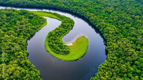 Serpentine River Flowing Through Lush Green Rainforest Canopy